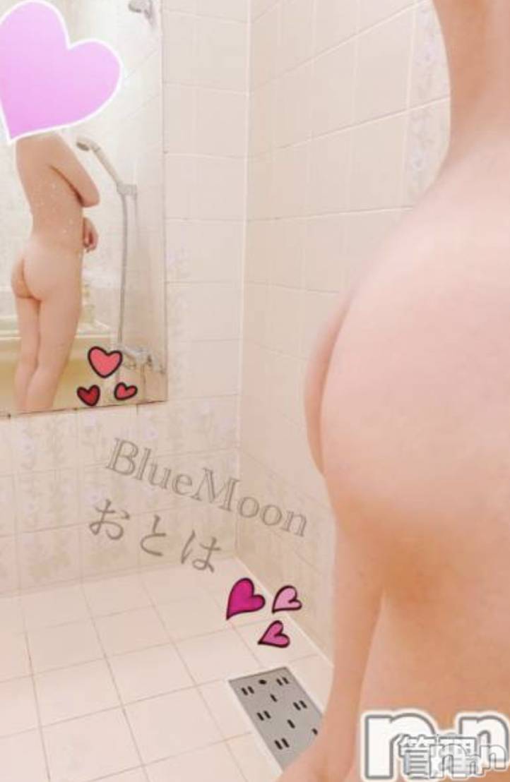三条デリヘルコスプレ専門店　BLUE MOON(ブルームーン)ふわふわ系美少女＃おとは(23)の2021年6月2日写メブログ「今すぐお伺い出来ます❤」