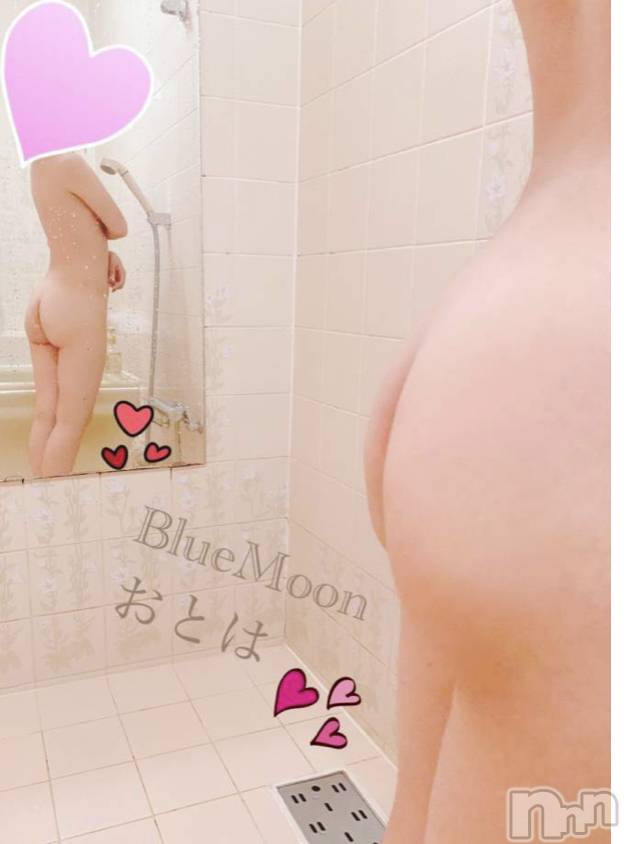 三条デリヘルコスプレ専門店　BLUE MOON(ブルームーン)ふわふわ系美少女＃おとは(23)の2020年11月20日写メブログ「今すぐお伺いできます❤」