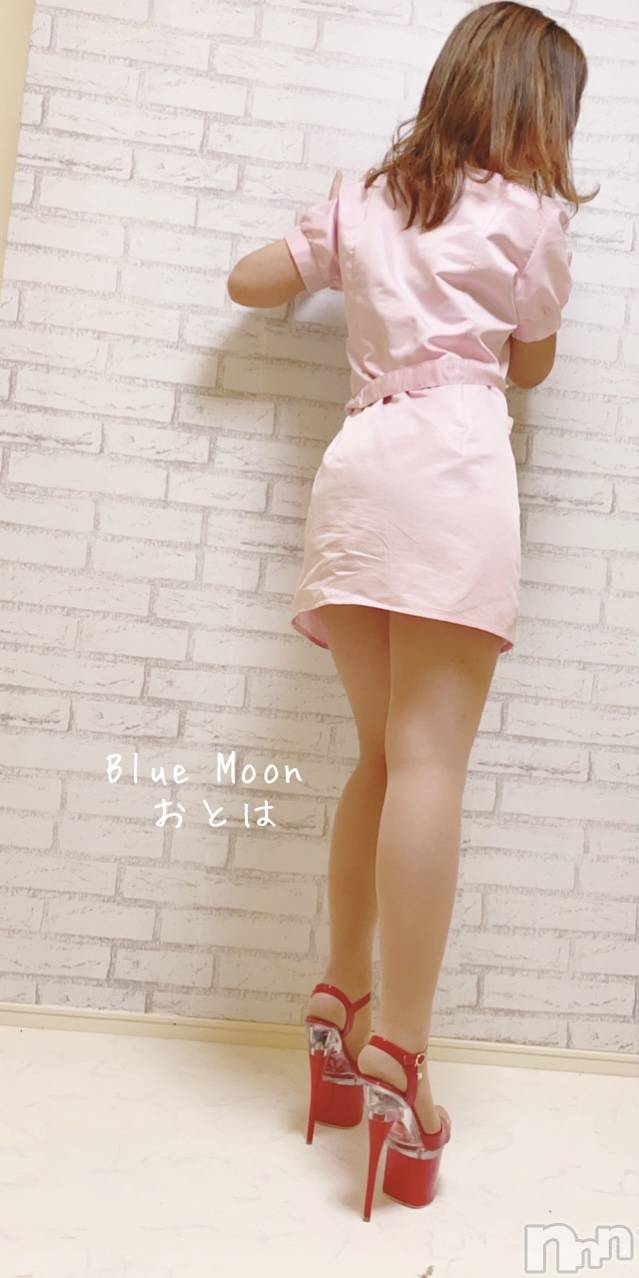三条デリヘルコスプレ専門店　BLUE MOON(ブルームーン)ふわふわ系美少女＃おとは(23)の2021年11月18日写メブログ「お誘いお待ちしてます💓」
