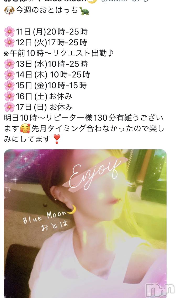 三条デリヘルコスプレ専門店　BLUE MOON(ブルームーン)ふわふわ系美少女＃おとは(23)の2022年4月11日写メブログ「🐶今週のおとはっち🐢」