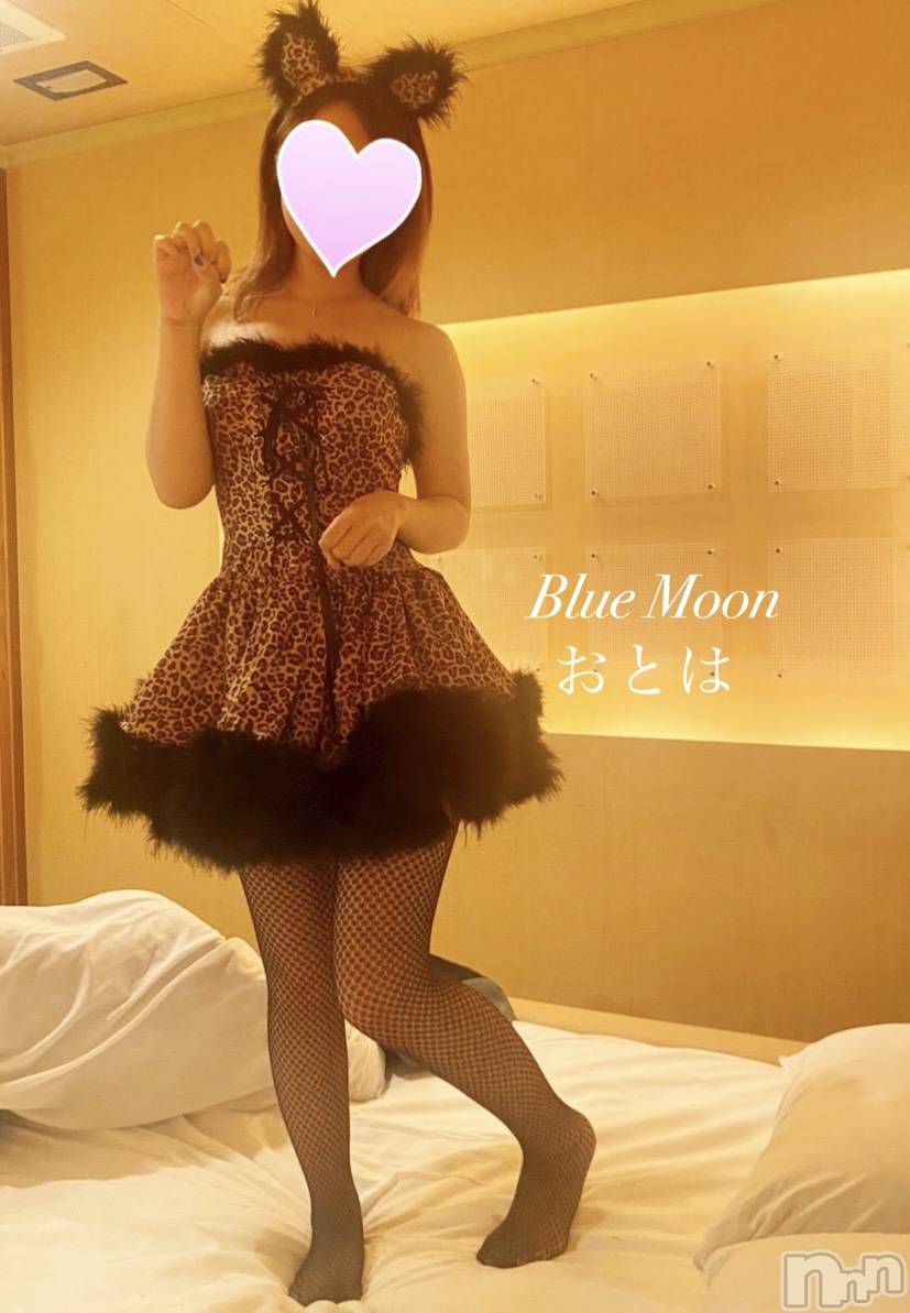 三条デリヘルコスプレ専門店　BLUE MOON(ブルームーン)ふわふわ系美少女＃おとは(22)の2022年5月14日写メブログ「突然ですが本日22時半らいます‼️」