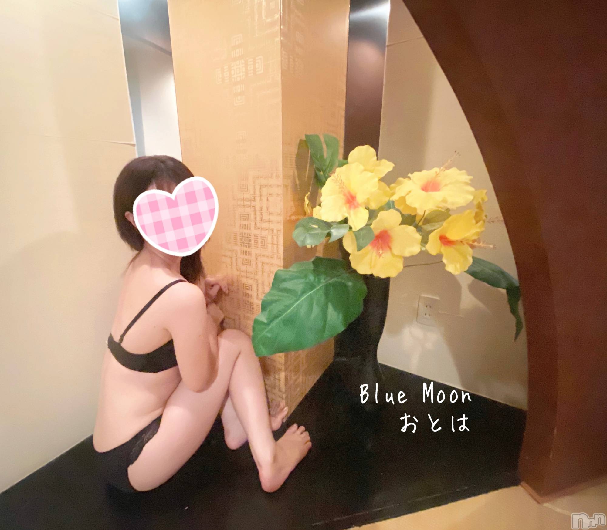 三条デリヘルコスプレ専門店　BLUE MOON(ブルームーン)ふわふわ系美少女＃おとは(23)の2022年10月16日写メブログ「おはようそしておやすみ」