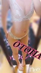 三条デリヘルコスプレ専門店　BLUE MOON(ブルームーン) ふわふわ系美少女＃おとは(23)の3月24日写メブログ「あそぼ♡♡」