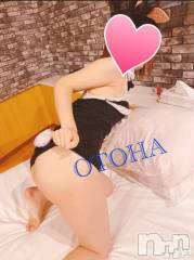 三条デリヘルコスプレ専門店　BLUE MOON(ブルームーン) ふわふわ系美少女＃おとは(23)の4月21日写メブログ「17時からいます♡♡」