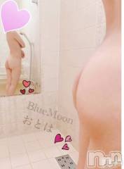 三条デリヘルコスプレ専門店　BLUE MOON(ブルームーン) ふわふわ系美少女＃おとは(23)の12月10日写メブログ「3000円引き🥺💓」