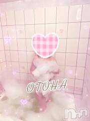 三条デリヘルコスプレ専門店　BLUE MOON(ブルームーン) ふわふわ系美少女＃おとは(23)の1月29日写メブログ「朝割するよっ꙳★*ﾟ【必読⠀】詳細です❤」