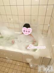 三条デリヘルコスプレ専門店　BLUE MOON(ブルームーン) ふわふわ系美少女＃おとは(23)の2月22日写メブログ「15時まで限定❤」