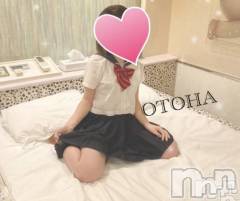 三条デリヘルコスプレ専門店　BLUE MOON(ブルームーン) ふわふわ系美少女＃おとは(23)の3月11日写メブログ「遊びましょ💓」