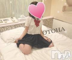 三条デリヘルコスプレ専門店　BLUE MOON(ブルームーン) ふわふわ系美少女＃おとは(23)の3月17日写メブログ「3月17日 19時30分のブログ」