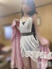 三条デリヘルコスプレ専門店　BLUE MOON(ブルームーン) ふわふわ系美少女＃おとは(23)の3月19日写メブログ「いい天気(*ˊ˘ˋ*)❤」