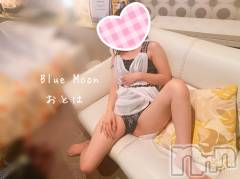 三条デリヘルコスプレ専門店　BLUE MOON(ブルームーン) ふわふわ系美少女＃おとは(23)の4月27日写メブログ「まだまだやってます♥️」
