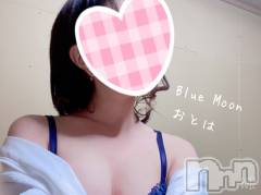 三条デリヘルコスプレ専門店　BLUE MOON(ブルームーン) ふわふわ系美少女＃おとは(23)の5月1日写メブログ「揺れた…」
