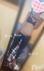 三条デリヘルコスプレ専門店　BLUE MOON(ブルームーン) ふわふわ系美少女＃おとは(23)の5月20日写メブログ「いちゃいちゃしませんか？」