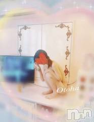 三条デリヘルコスプレ専門店　BLUE MOON(ブルームーン) ふわふわ系美少女＃おとは(23)の11月9日写メブログ「空きました❣️」