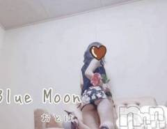 三条デリヘルコスプレ専門店　BLUE MOON(ブルームーン) ふわふわ系美少女＃おとは(23)の12月16日写メブログ「すぐお伺いできます♥️」