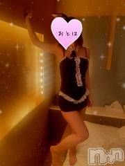 三条デリヘルコスプレ専門店　BLUE MOON(ブルームーン) ふわふわ系美少女＃おとは(23)の12月24日写メブログ「LAST枠空いてます♥️」