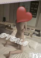 三条デリヘルコスプレ専門店　BLUE MOON(ブルームーン) ふわふわ系美少女＃おとは(23)の1月11日写メブログ「お誘いお待ちしております♥️」