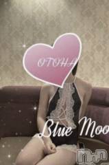 三条デリヘルコスプレ専門店　BLUE MOON(ブルームーン) ふわふわ系美少女＃おとは(23)の1月28日写メブログ「ラスト枠お待ちしてます♡」