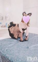 三条デリヘルコスプレ専門店　BLUE MOON(ブルームーン) ふわふわ系美少女＃おとは(23)の2月10日写メブログ「ホテル割り今日が最後だよ！」