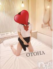 三条デリヘルコスプレ専門店　BLUE MOON(ブルームーン) ふわふわ系美少女＃おとは(23)の2月11日写メブログ「空きました(*ˊᵕˋ*)੭ ੈ❤︎」