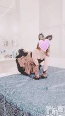 三条デリヘルコスプレ専門店　BLUE MOON(ブルームーン) ふわふわ系美少女＃おとは(23)の4月4日写メブログ「これからすぐご案内可能です❤️」