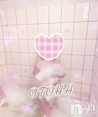 三条デリヘルコスプレ専門店　BLUE MOON(ブルームーン) ふわふわ系美少女＃おとは(23)の4月23日写メブログ「リピ様有難うございました！！」