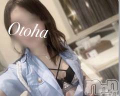 三条デリヘルコスプレ専門店　BLUE MOON(ブルームーン) ふわふわ系美少女＃おとは(23)の6月8日写メブログ「これからすぐご案内可能です🙆‍♀️」