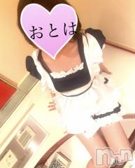 三条デリヘルコスプレ専門店　BLUE MOON(ブルームーン) ふわふわ系美少女＃おとは(23)の7月5日写メブログ「160分ありがとうございます❤️🐱」