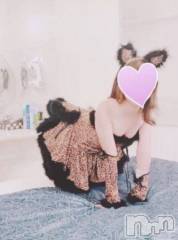 三条デリヘルコスプレ専門店　BLUE MOON(ブルームーン) ふわふわ系美少女＃おとは(23)の8月19日写メブログ「これからすぐご案内可能です💓」