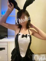 三条デリヘルコスプレ専門店　BLUE MOON(ブルームーン) ふわふわ系美少女＃おとは(23)の4月16日写メブログ「20時半からご案内できます！！」