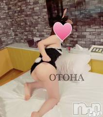 三条デリヘルコスプレ専門店　BLUE MOON(ブルームーン) ふわふわ系美少女＃おとは(23)の5月30日写メブログ「空きました！すぐ行けます🙆‍♀️」