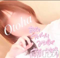 三条デリヘルコスプレ専門店　BLUE MOON(ブルームーン) ふわふわ系美少女＃おとは(23)の8月7日写メブログ「出勤予定☀️」