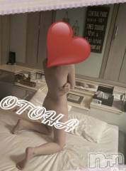 三条デリヘルコスプレ専門店　BLUE MOON(ブルームーン) ふわふわ系美少女＃おとは(23)の11月25日写メブログ「すぐにお伺いできます♪」