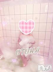 三条デリヘルコスプレ専門店　BLUE MOON(ブルームーン) ふわふわ系美少女＃おとは(23)の6月23日写メブログ「65分ありがとうございした😊❤」