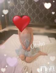 三条デリヘルコスプレ専門店　BLUE MOON(ブルームーン) ふわふわ系美少女＃おとは(23)の6月24日写メブログ「御礼の続きです✨」