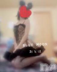 三条デリヘルコスプレ専門店　BLUE MOON(ブルームーン) ふわふわ系美少女＃おとは(23)の7月18日写メブログ「🚨緊急告知🚨」