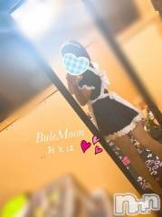 三条デリヘルコスプレ専門店　BLUE MOON(ブルームーン) ふわふわ系美少女＃おとは(23)の7月24日写メブログ「21日(水)御礼の続きです🐶」