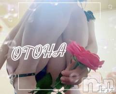 三条デリヘルコスプレ専門店　BLUE MOON(ブルームーン) ふわふわ系美少女＃おとは(23)の8月11日写メブログ「有難うございました✨」