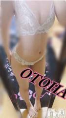 三条デリヘルコスプレ専門店　BLUE MOON(ブルームーン) ふわふわ系美少女＃おとは(23)の10月21日写メブログ「明日は17時半からです*°♡」