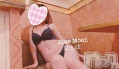 三条デリヘルコスプレ専門店　BLUE MOON(ブルームーン) ふわふわ系美少女＃おとは(23)の11月15日写メブログ「ホテル割あります‼️」