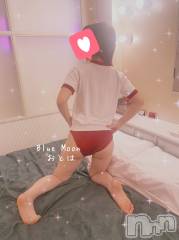 三条デリヘルコスプレ専門店　BLUE MOON(ブルームーン) ふわふわ系美少女＃おとは(23)の11月18日写メブログ「すぐご案内可能です♥️」
