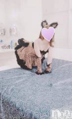 三条デリヘルコスプレ専門店　BLUE MOON(ブルームーン) ふわふわ系美少女＃おとは(23)の11月20日写メブログ「昨日の御礼🧸」