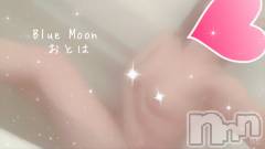 三条デリヘルコスプレ専門店　BLUE MOON(ブルームーン) ふわふわ系美少女＃おとは(23)の1月31日写メブログ「お知らせ🌙.*·̩͙」