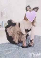 三条デリヘルコスプレ専門店　BLUE MOON(ブルームーン) ふわふわ系美少女＃おとは(23)の2月22日写メブログ「にゃんにゃんにゃん」