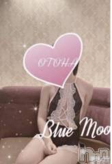 三条デリヘルコスプレ専門店　BLUE MOON(ブルームーン) ふわふわ系美少女＃おとは(23)の2月26日写メブログ「今日お昼はいません」