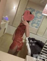 三条デリヘルコスプレ専門店　BLUE MOON(ブルームーン) ふわふわ系美少女＃おとは(23)の4月20日写メブログ「いつもありがとうございます🌷」