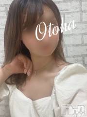 三条デリヘルコスプレ専門店　BLUE MOON(ブルームーン) ふわふわ系美少女＃おとは(23)の5月7日写メブログ「2日連続ありがとうごいます♥️」