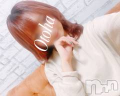 三条デリヘルコスプレ専門店　BLUE MOON(ブルームーン) ふわふわ系美少女＃おとは(23)の11月5日写メブログ「髪色チェンジ✨」