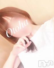 三条デリヘルコスプレ専門店　BLUE MOON(ブルームーン) ふわふわ系美少女＃おとは(23)の11月23日写メブログ「いいにいさんの日…♡」