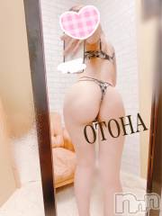 三条デリヘルコスプレ専門店　BLUE MOON(ブルームーン) ふわふわ系美少女＃おとは(23)の2月20日写メブログ「:( ´›ω‹｀):ﾌﾞﾙﾙ」